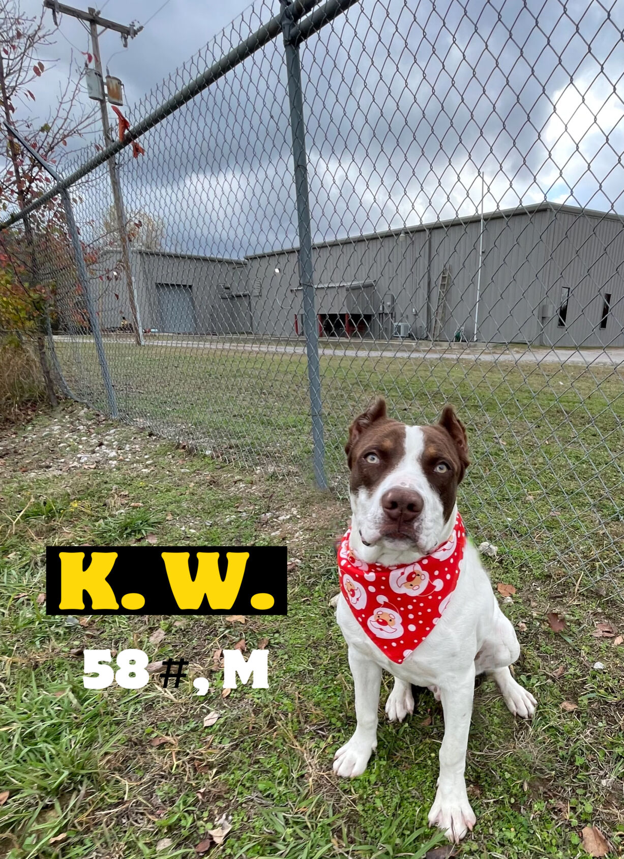 K.W.